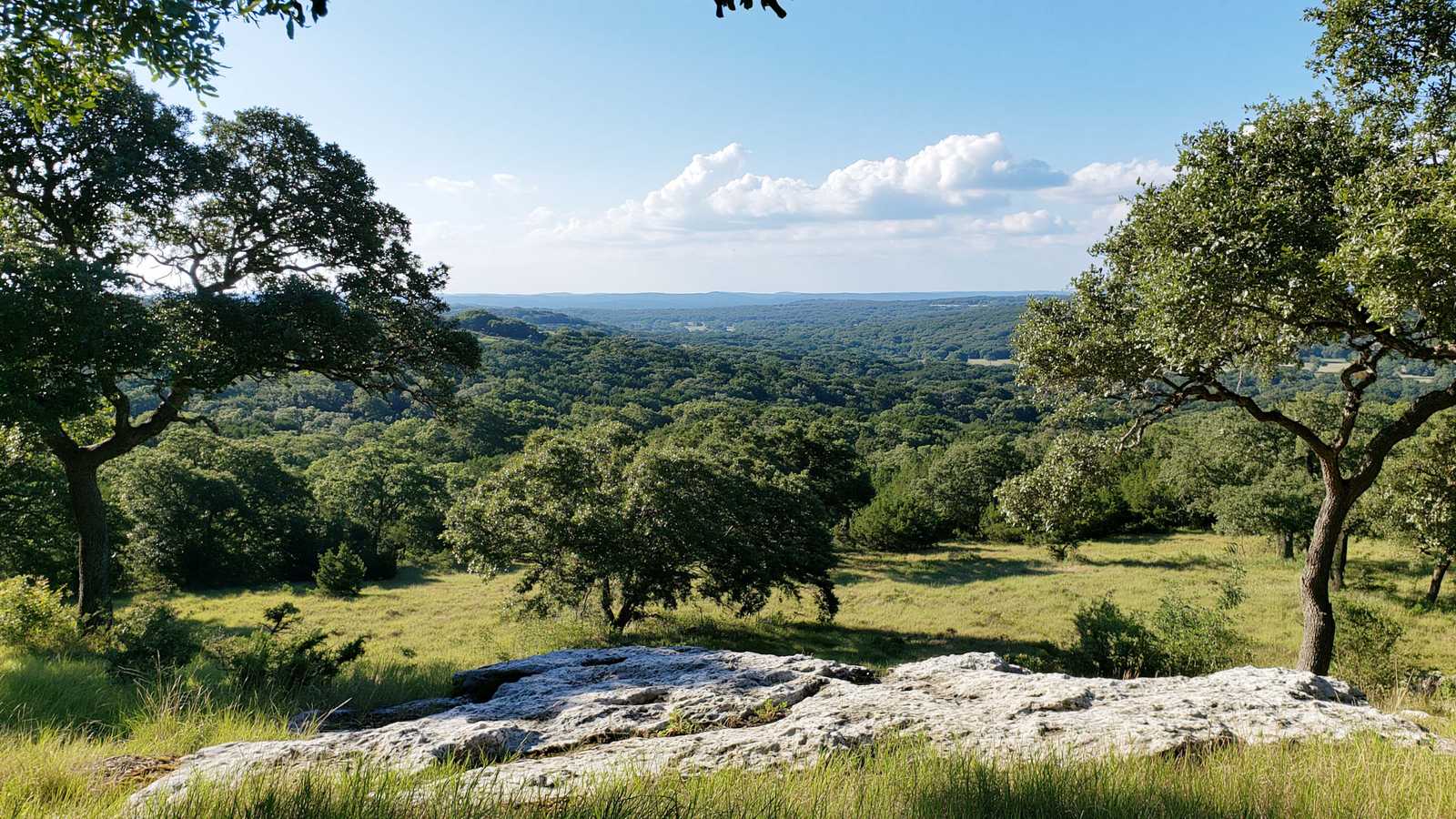 Limestone ridge under live oak mottes above a valley, rooftops among the trees low on the far slope, open sky and towering cumulus across the upper half of the frame
