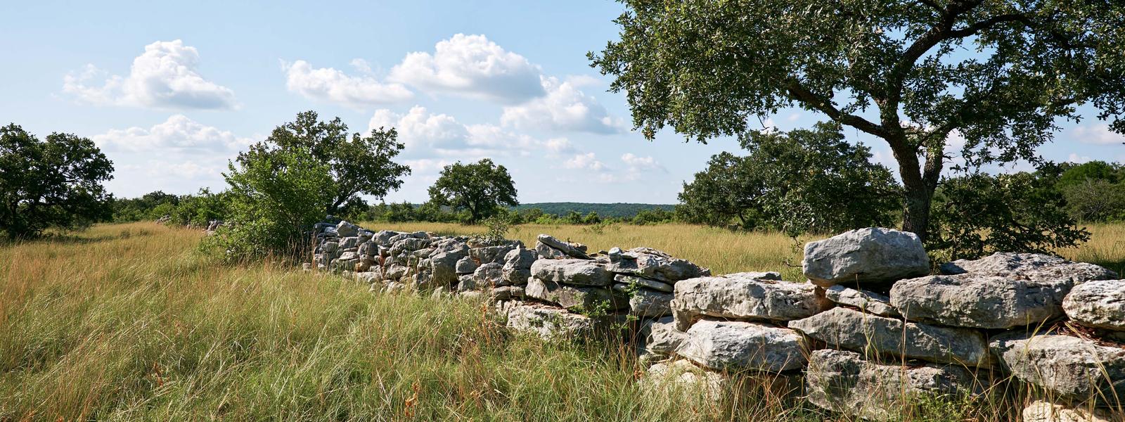 Dry stacked limestone fence running away along a property line through live oak savanna, the stones shimmed with chips and no mortar between them, open grass on both sides and clear sky above